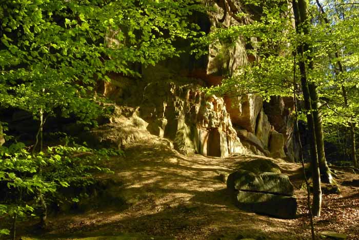 In de omgeving van Bad Bentheim zijn mooie wandelingen te maken 