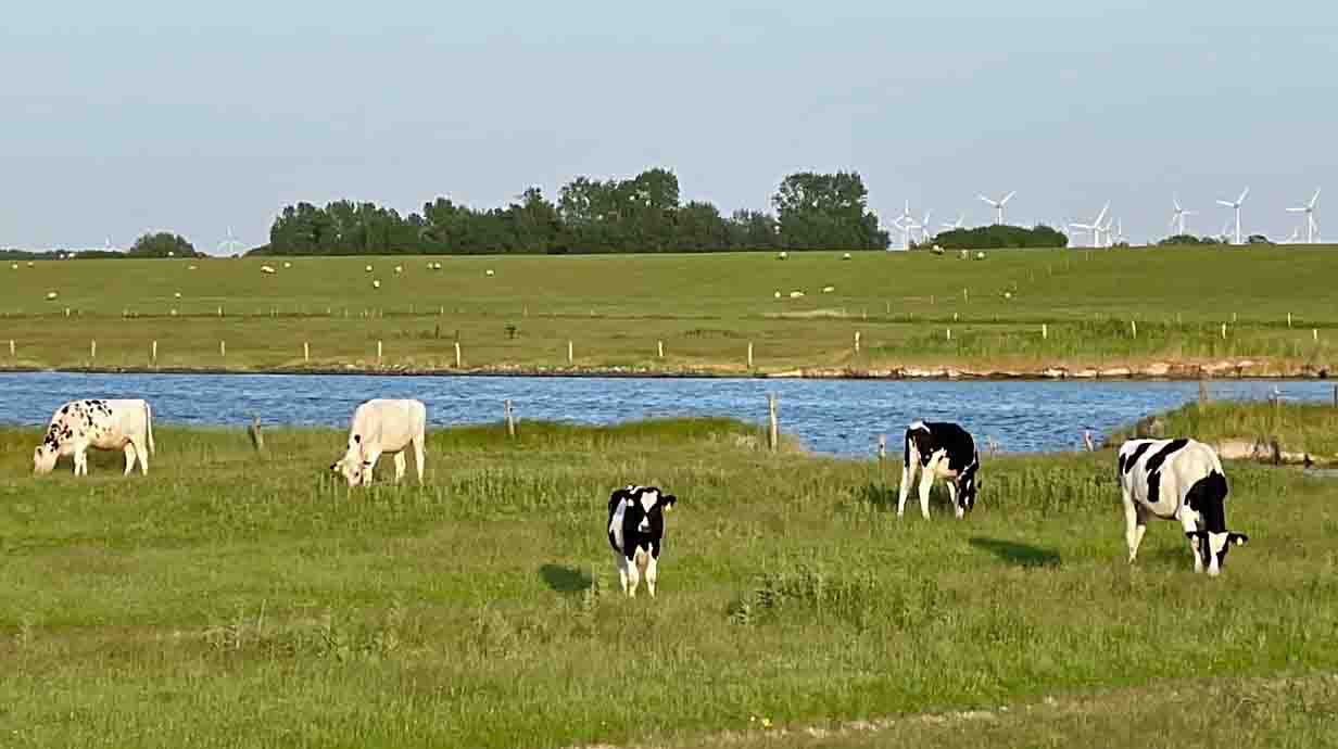 Waddenzee en dijklandschap in Ostfriesland